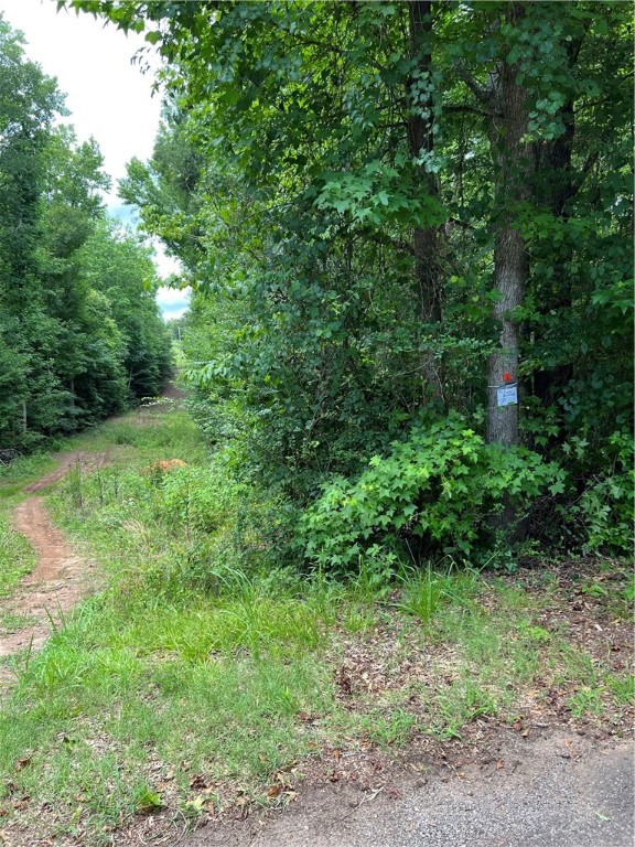 231 Dunlap Road Williamston, SC 29697 - Photo 4 of 13