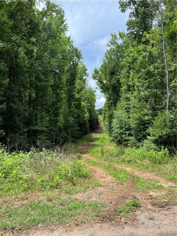 231 Dunlap Road Williamston, SC 29697 - Photo 5 of 13