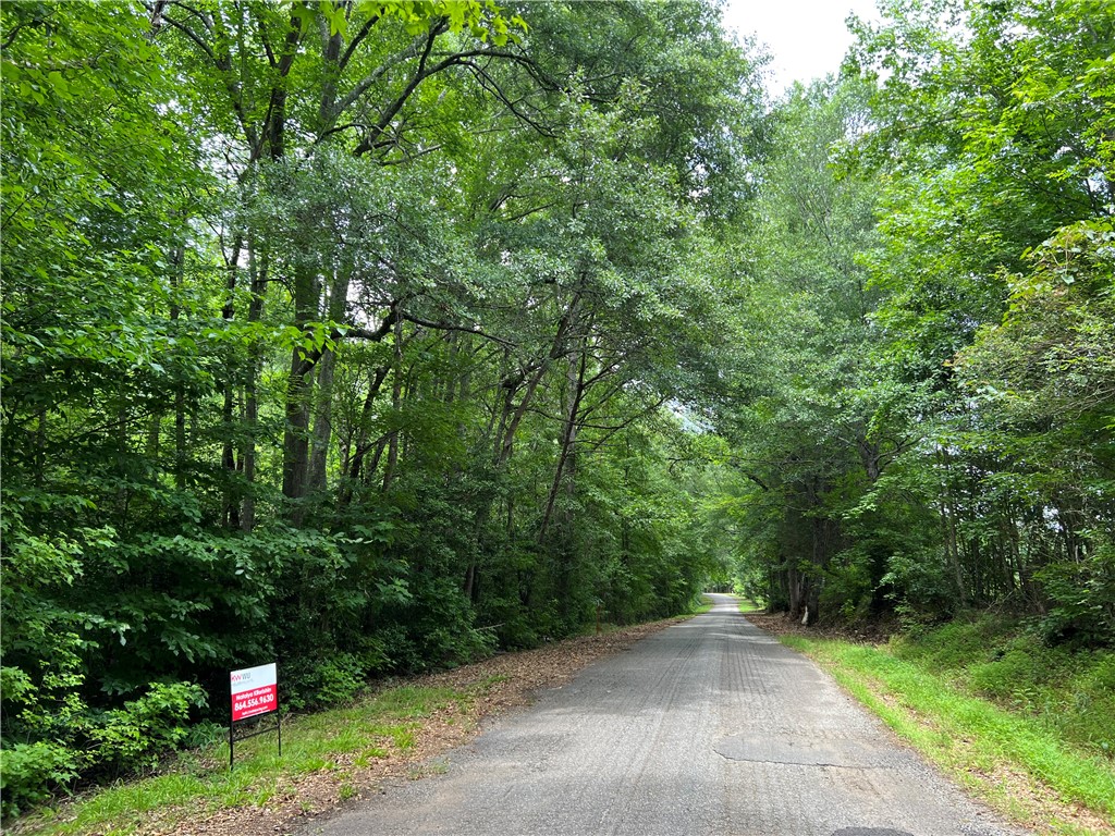 231 Dunlap Road Williamston, SC 29697 - Photo 6 of 13