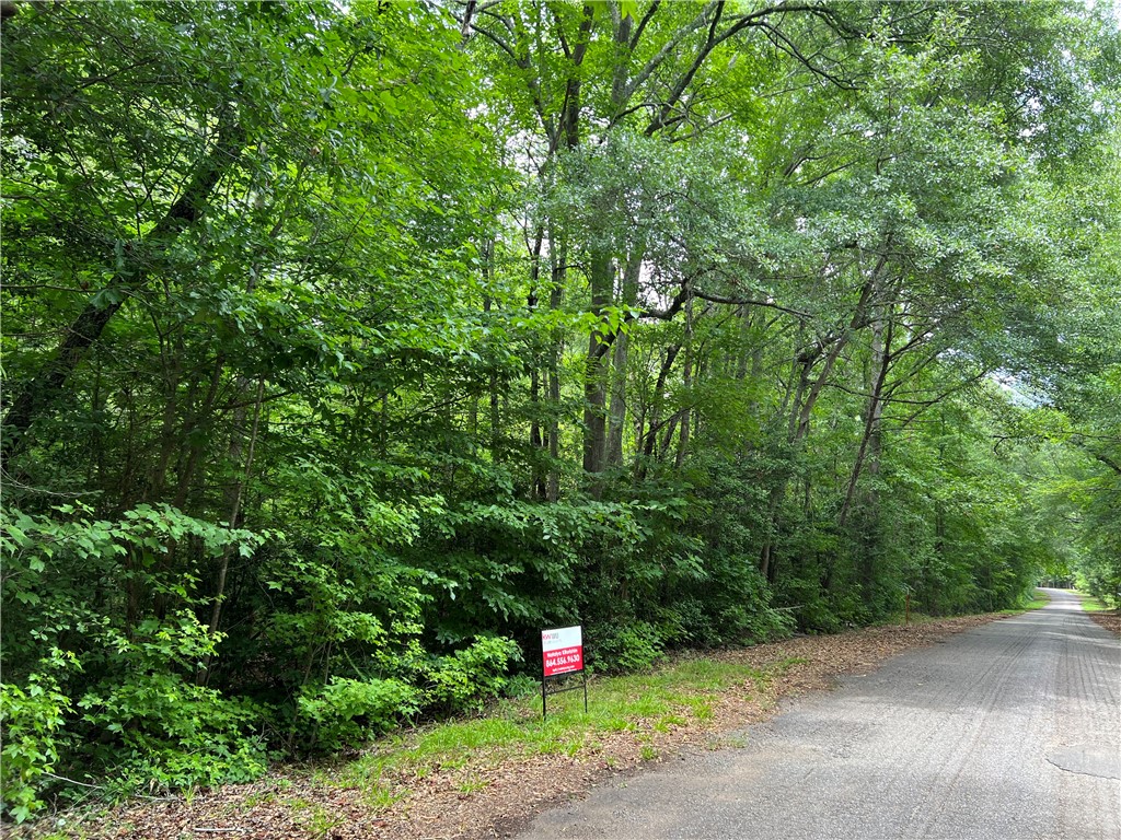 231 Dunlap Road Williamston, SC 29697 - Photo 7 of 13