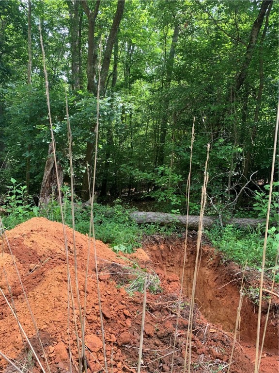 231 Dunlap Road Williamston, SC 29697 - Photo 10 of 13 Preppered for the septic test