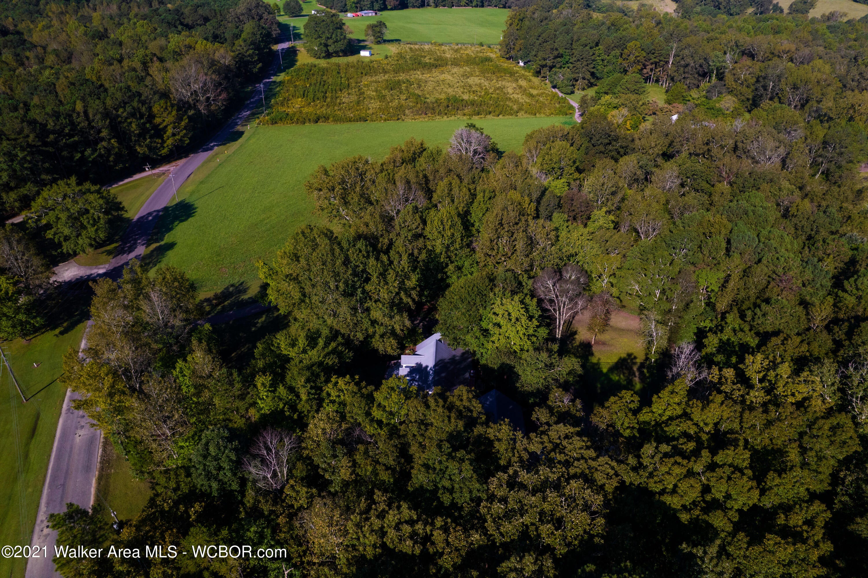 5371 Pine Road Remlap, AL 35133 - Photo 26 of 33 Gallery Image 26