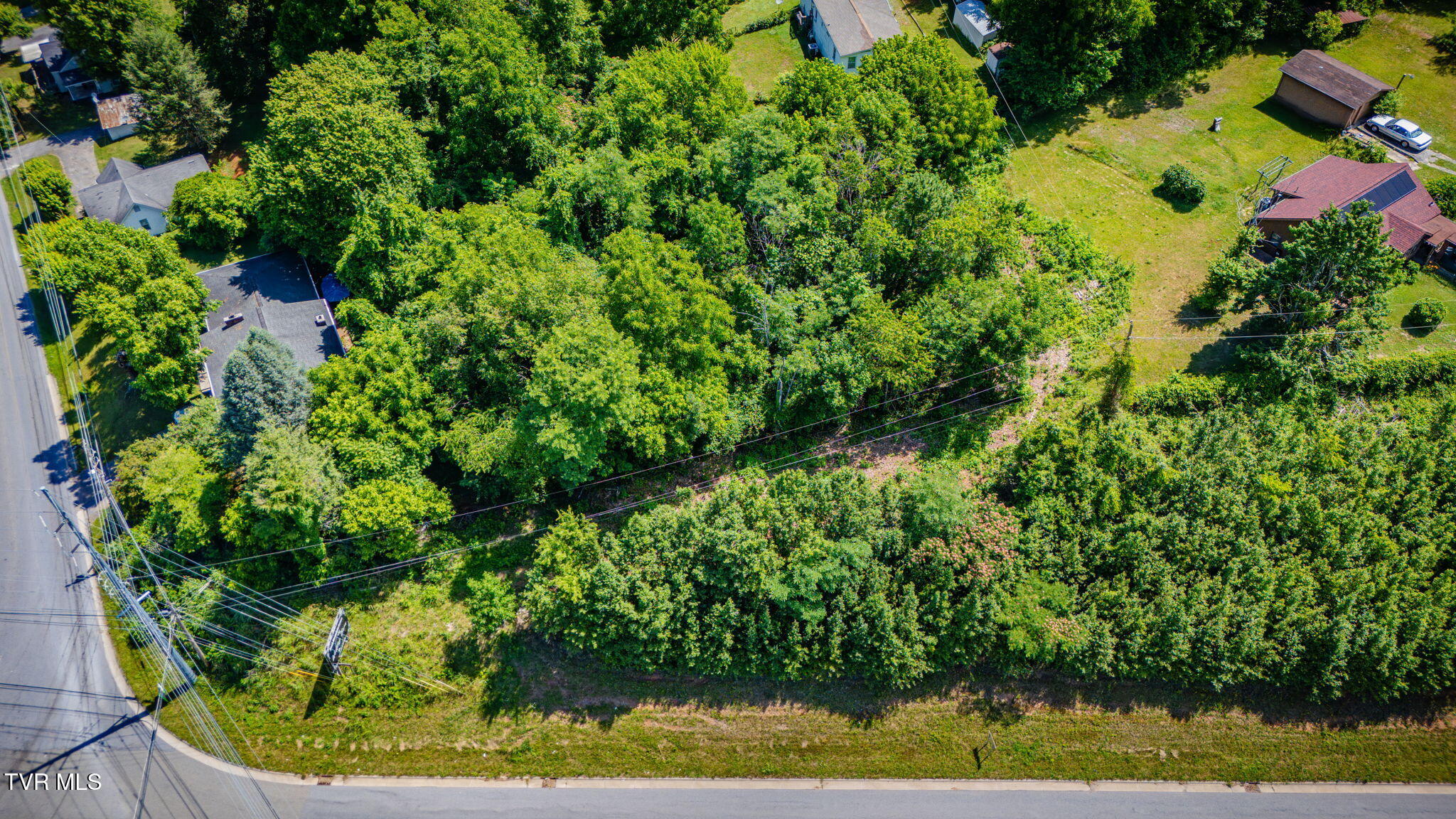 0 Nanny Goat Hill Road Elizabethton, TN 37643 - Photo 1 of 16 101