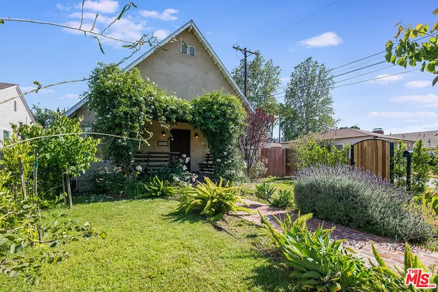 a view of a garden with plants