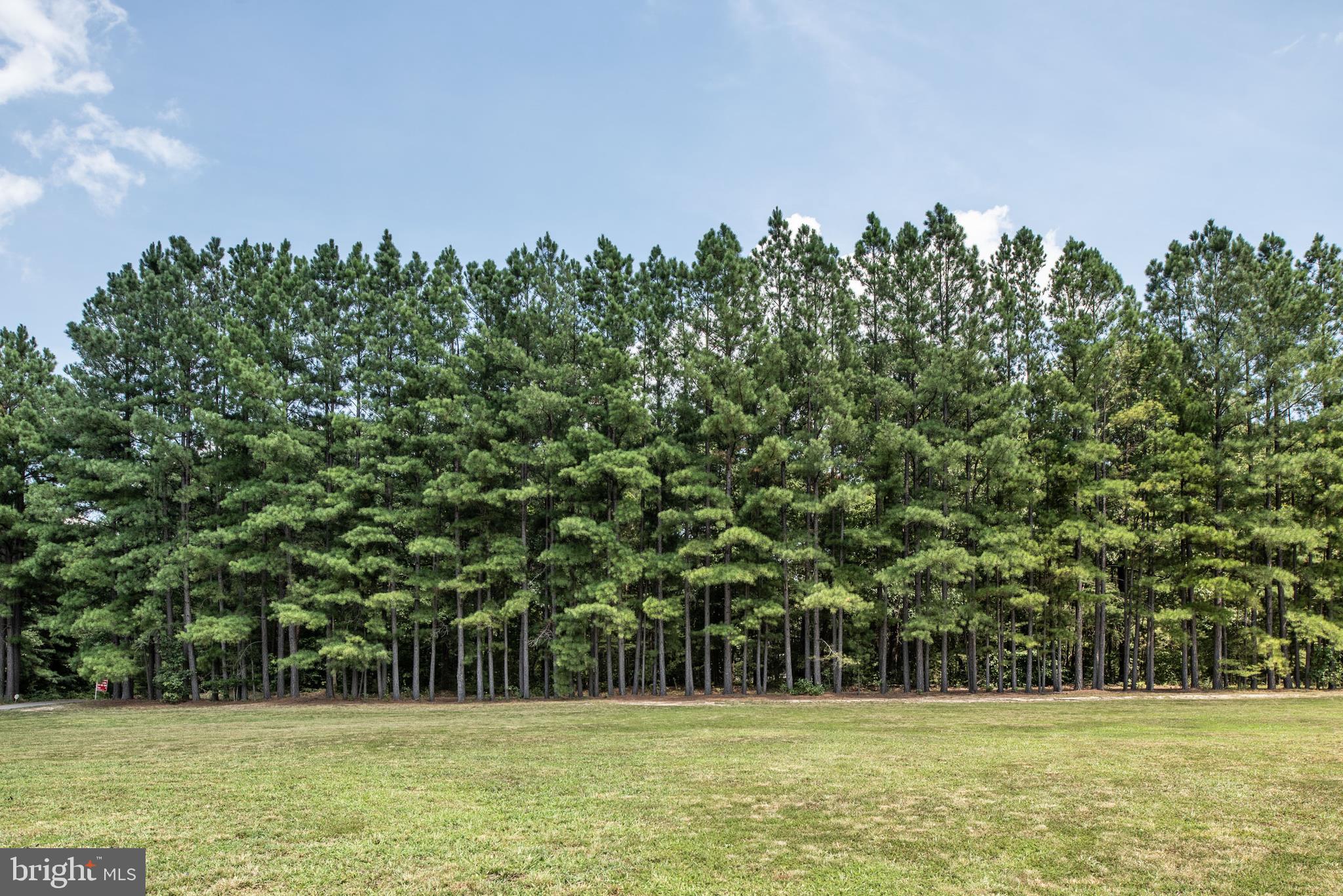 6833 Fox Ridge Road Spotsylvania, VA 22551 - Photo 44 of 54 Gallery Image 44
