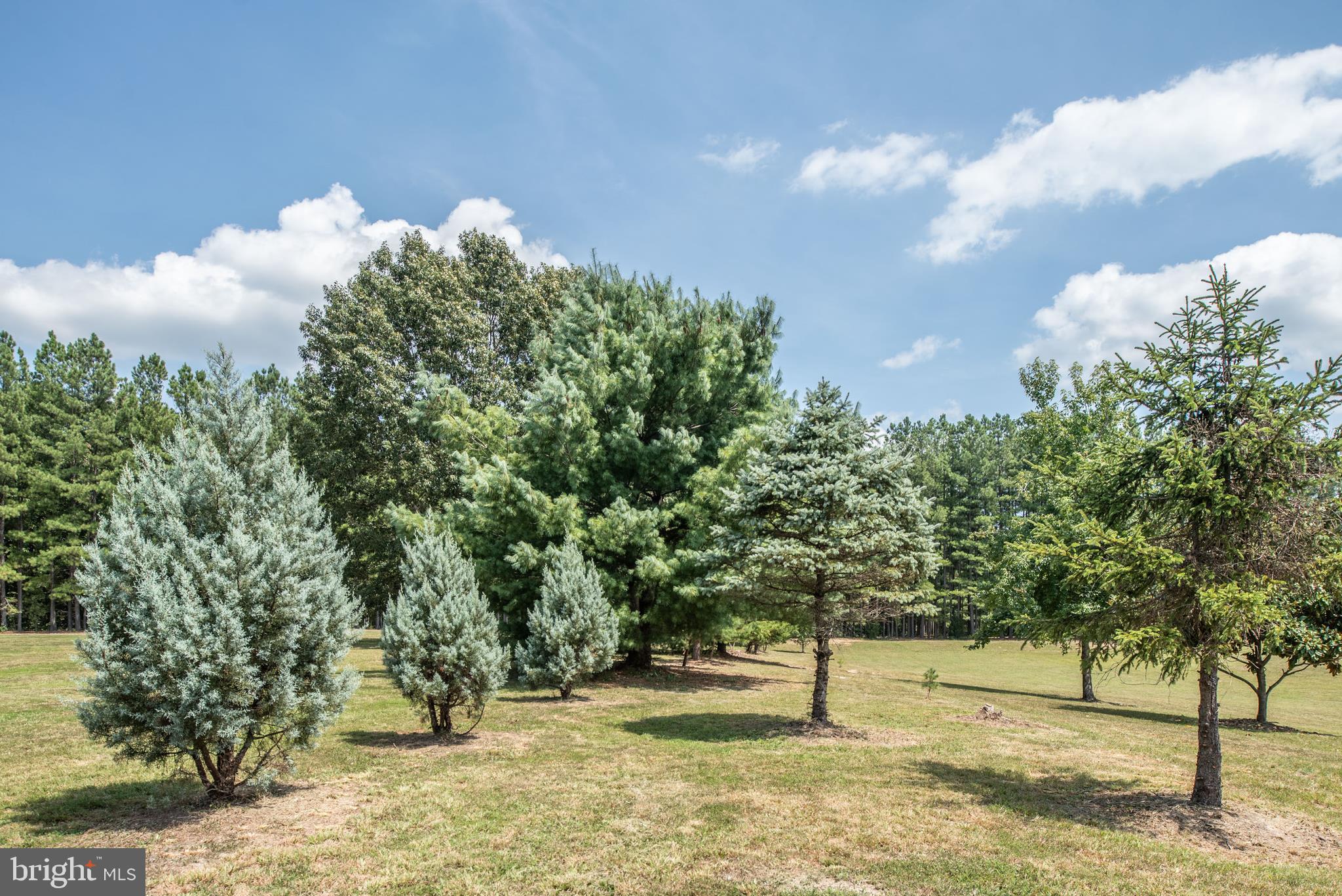 6833 Fox Ridge Road Spotsylvania, VA 22551 - Photo 45 of 54 Gallery Image 45