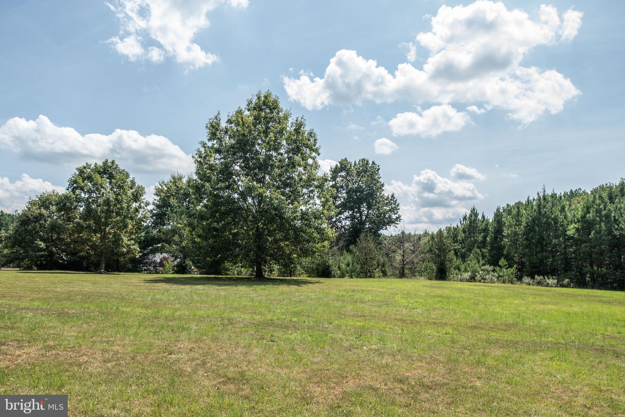 6833 Fox Ridge Road Spotsylvania, VA 22551 - Photo 48 of 54 Gallery Image 48