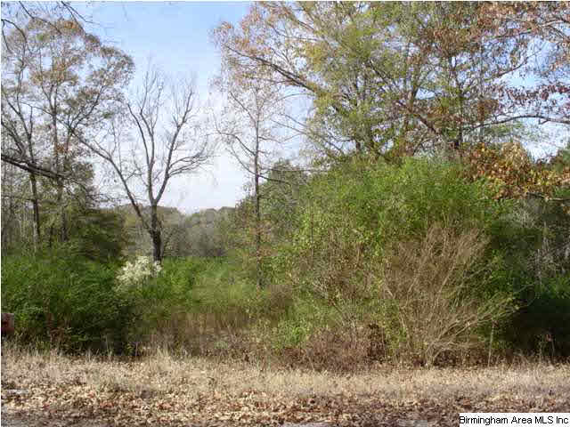 Eureka Road, Unit 1 8 Lincoln, AL 35096 - Photo 4 of 5