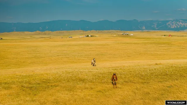 $560,000 | 32 Wallows Creek Road, Buffalo, WY 82834