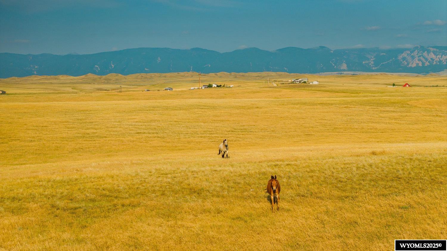 32 Wallows Creek Road Buffalo, WY 82834 - Photo 3 of 29
