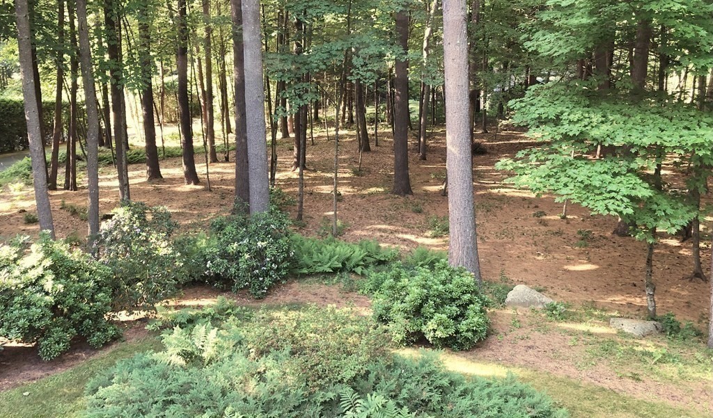 691 Park Hill Road Northampton, MA 01062 - Photo 34 of 39 Gallery Image 34