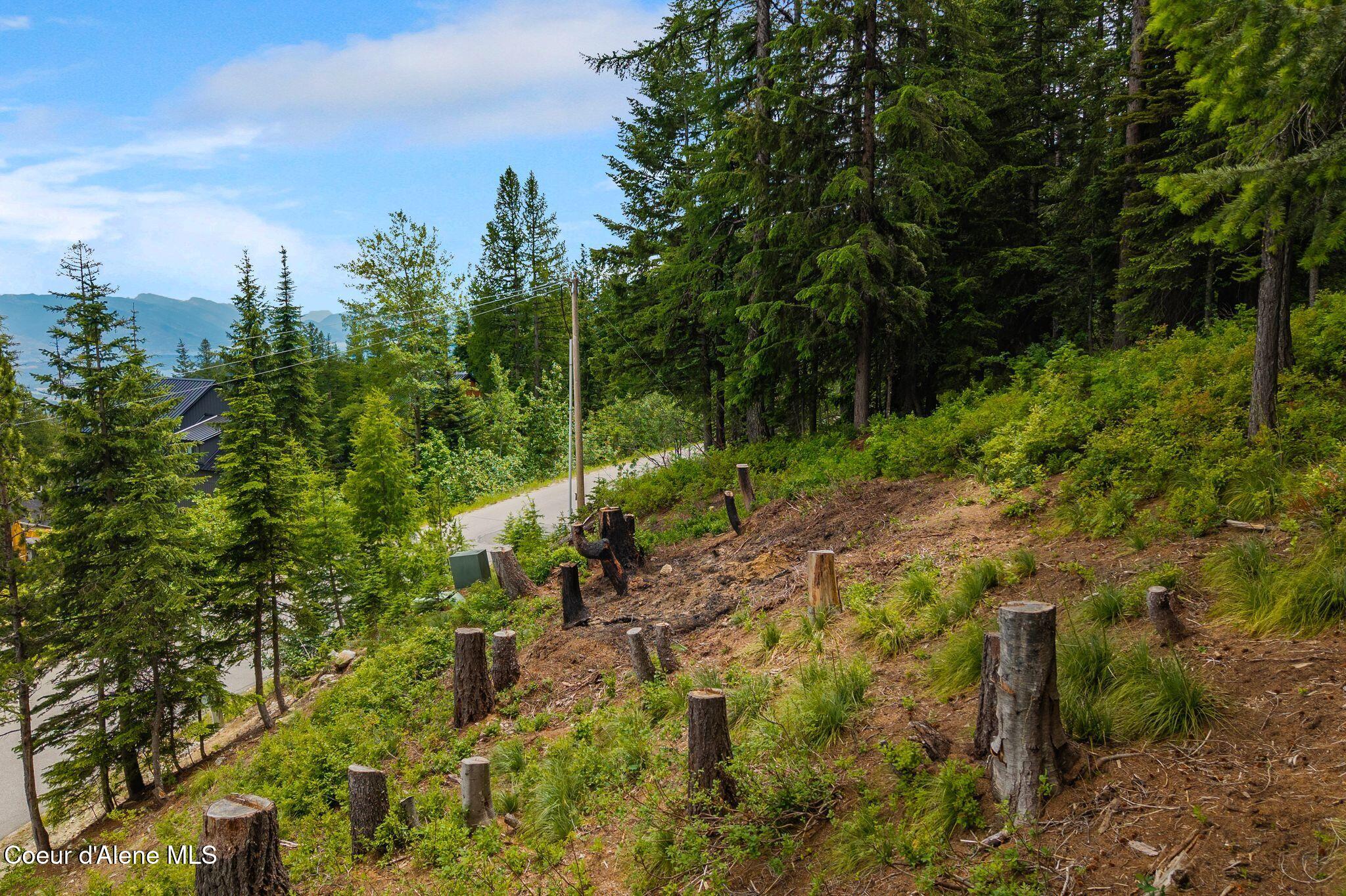 01 Mogul Hill Road Sandpoint, ID 83864 - Photo 10 of 26 8_DJI_20260703135044_0341_D