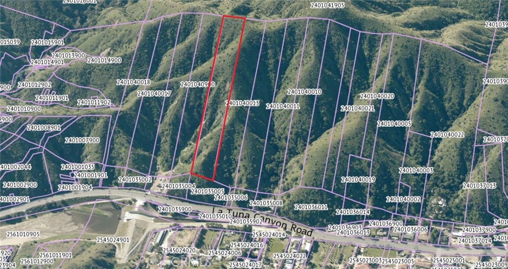 2 La Tuna Canyon Road Sun Valley, CA 91352 - Photo 4 of 5 a view of a palm trees front of house