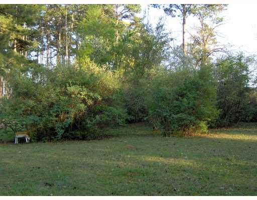 0 River Road Kentwood, LA 70444 - Photo 4 of 7 Gallery Image 4