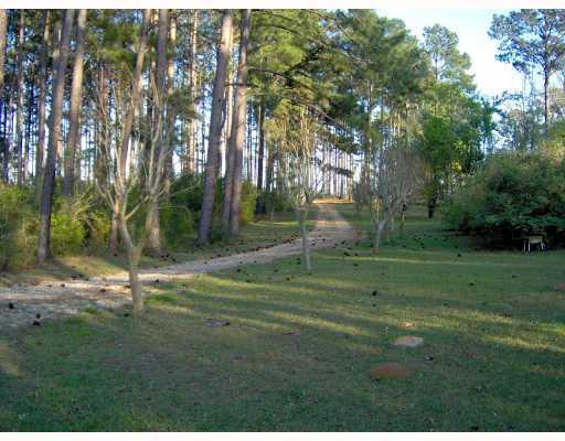 0 River Road Kentwood, LA 70444 - Photo 5 of 7 Gallery Image 5