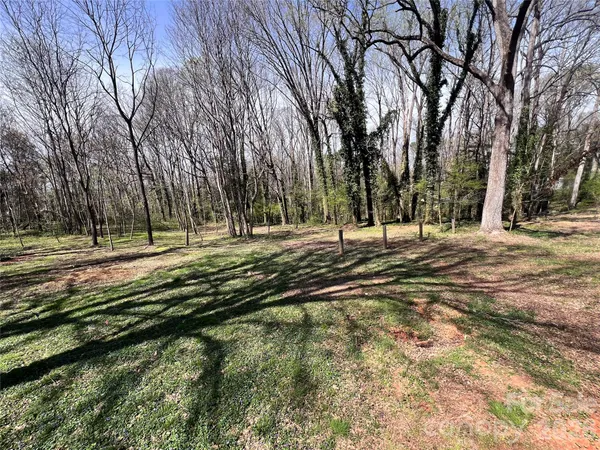 a view of a tree with a yard