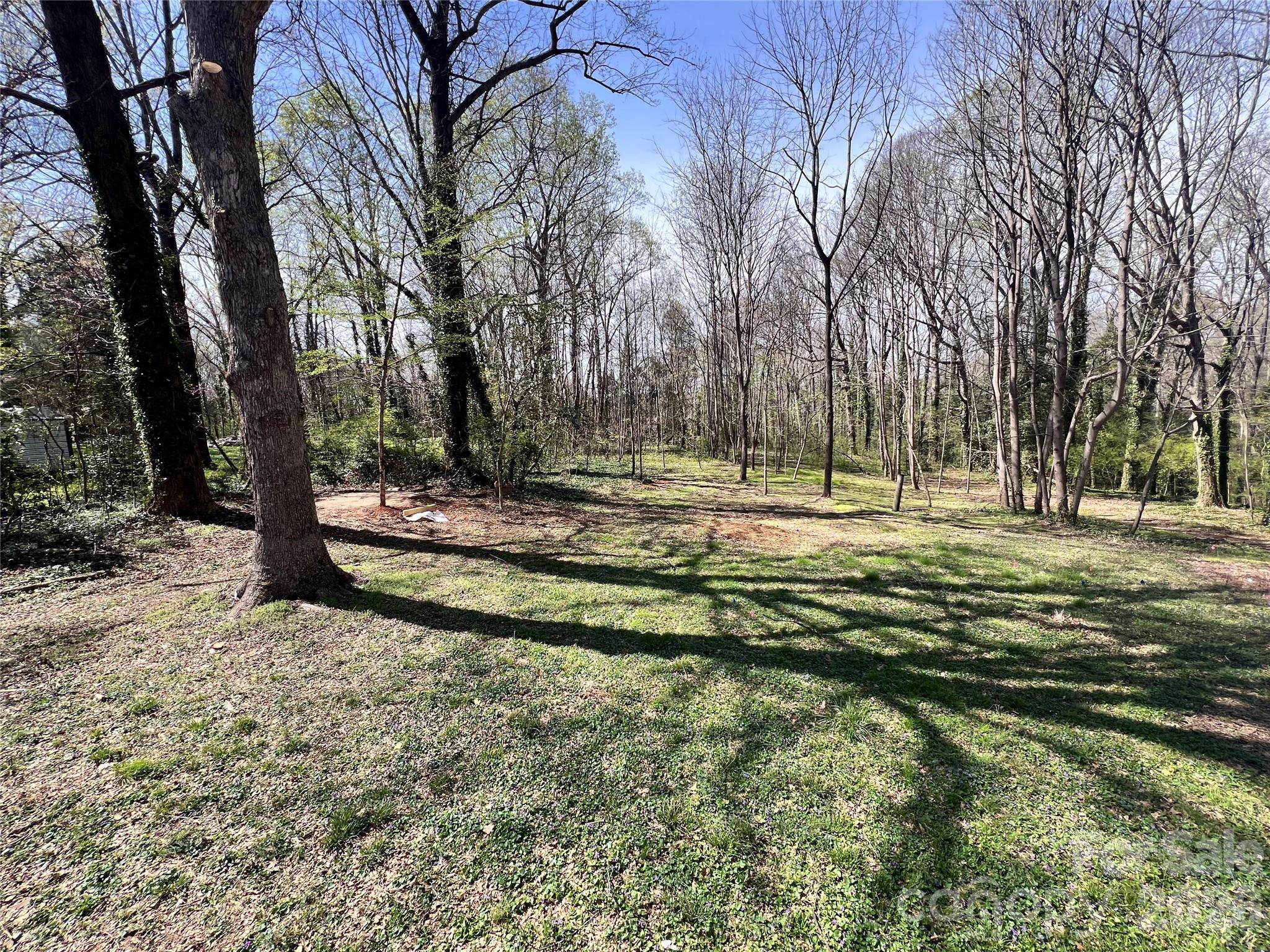 520 Summerow Road Stanley, NC 28164 - Photo 5 of 7 a view of a tree with a yard