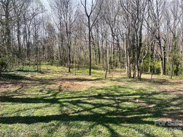 a view of a park with large trees