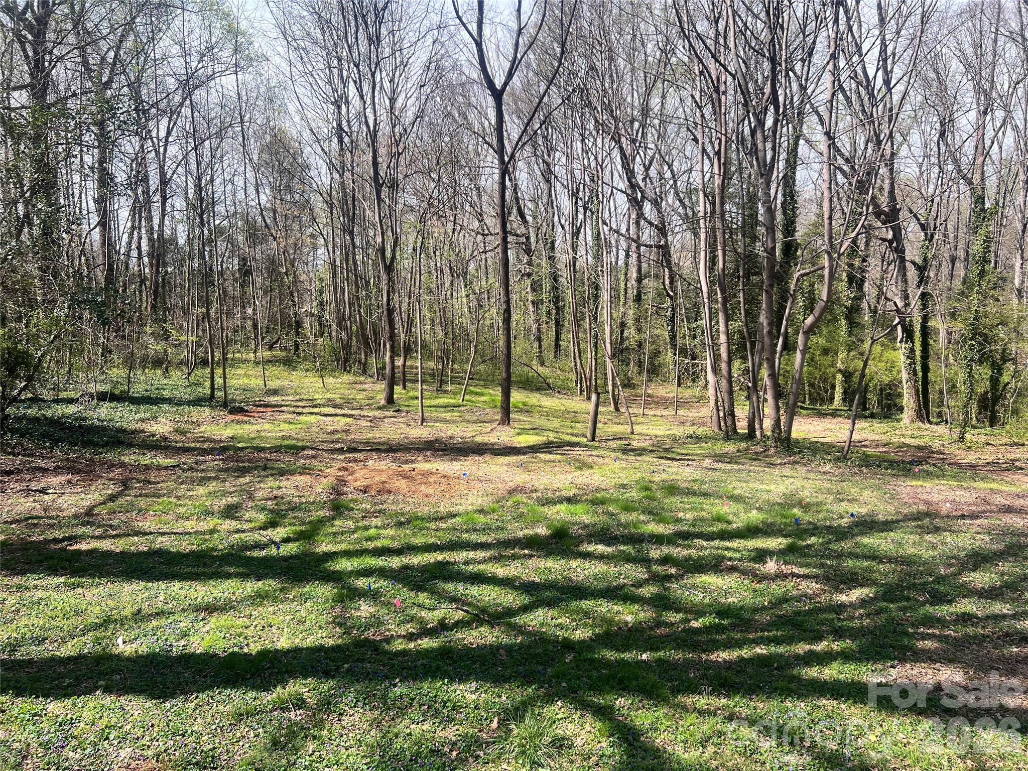 520 Summerow Road Stanley, NC 28164 - Photo 6 of 7 a view of a park with large trees