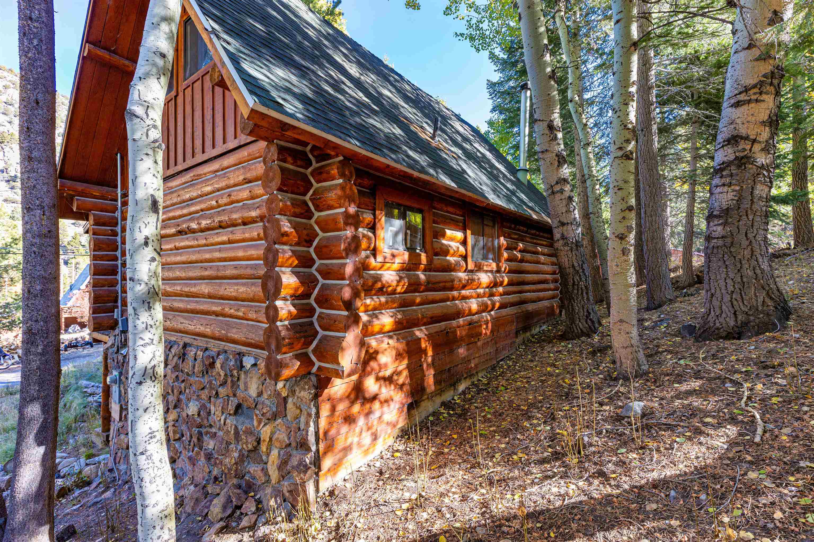 700 Minaret Road June Lake, CA 93529 - Photo 7 of 32 Gallery Image 7
