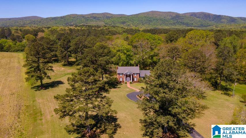 1565 Old Choccolocco Road Anniston, AL 36207 - Photo 1 of 66