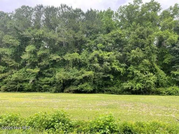 $115,000 | Tbd Point Caswell Road, Watha, NC 28478