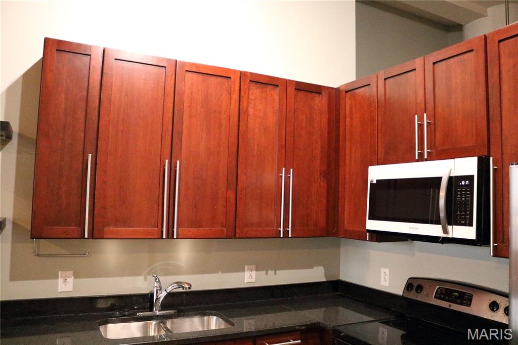 1520 Washington Avenue, Unit 202 St. Louis, MO 63103 - Photo 8 of 18