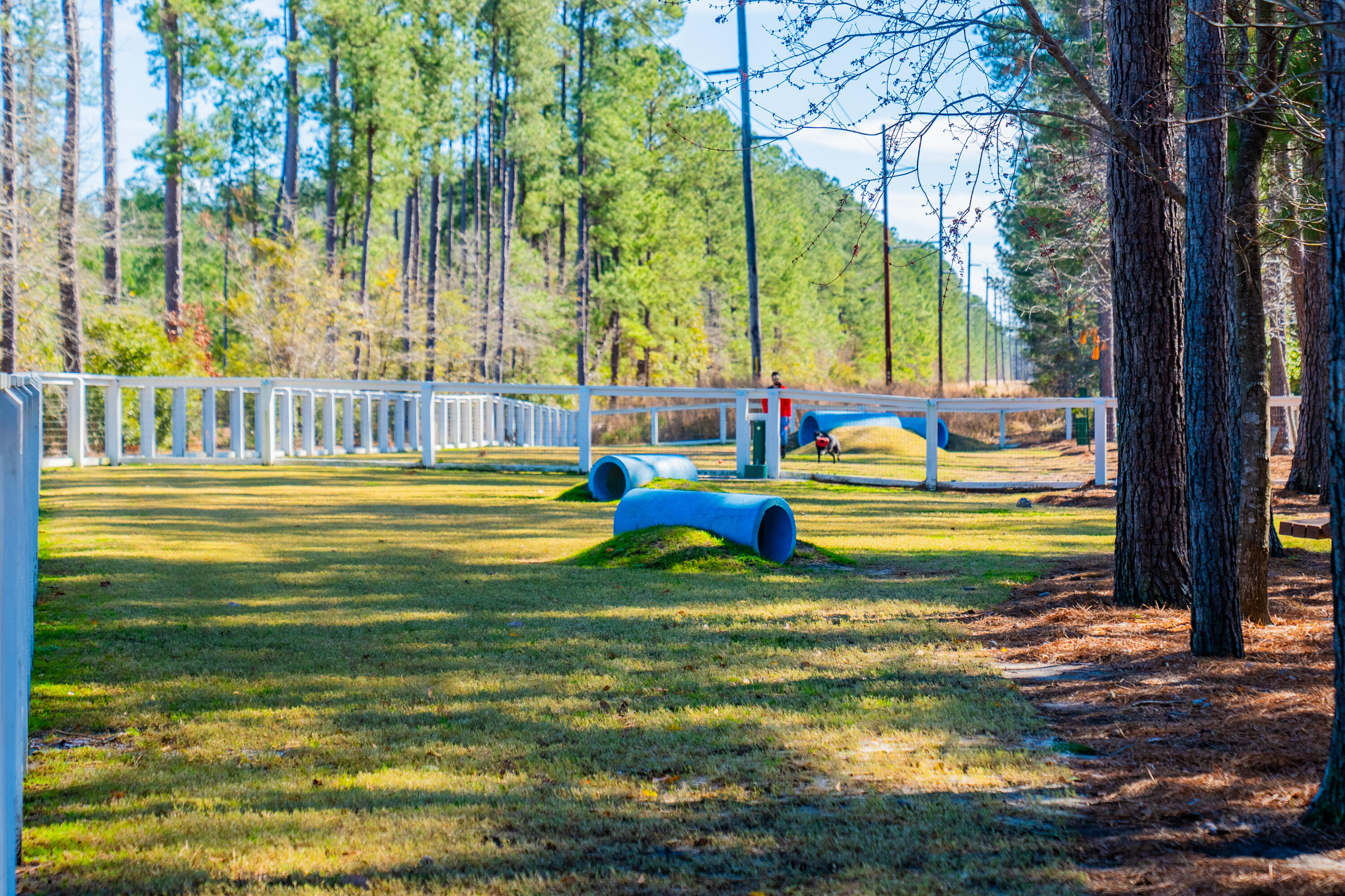 113 Royal Fern Road Summerville, SC 29486 - Photo 48 of 71 Dog Park
