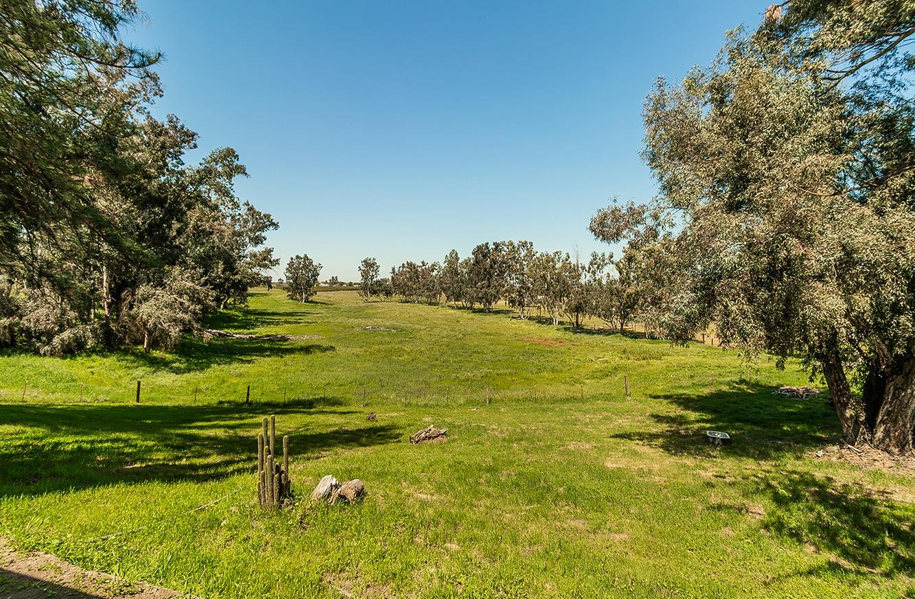 5221 South Reed Avenue Reedley, CA 93654 - Photo 28 of 43
