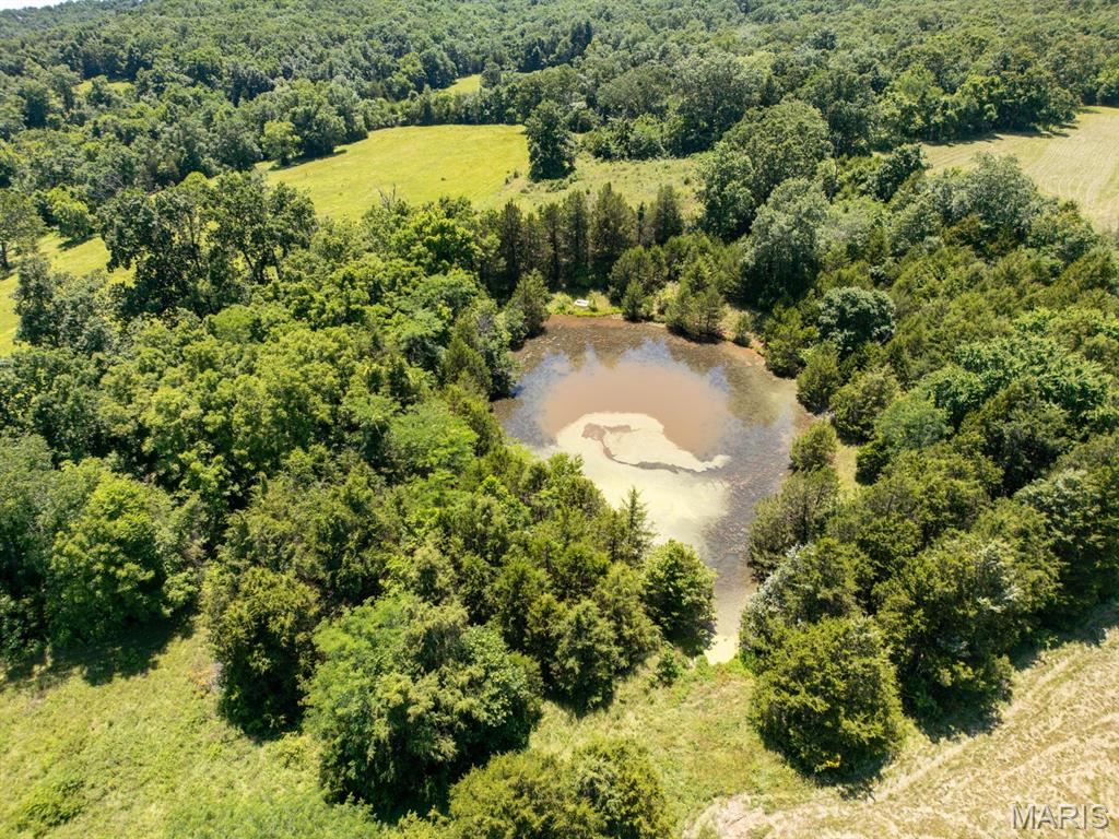 68 Dillard Mill Road Davisville, MO 65456 - Photo 55 of 64
