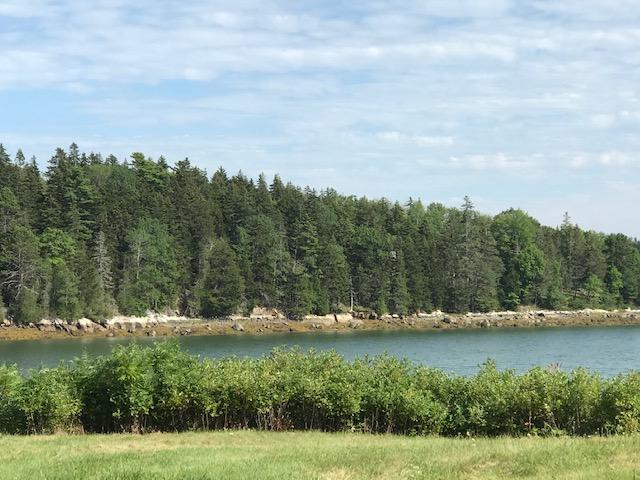 0 Cold Brook Farm Road Sargentville, ME 04673 - Photo 3 of 15 Billings Cove