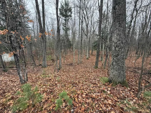 $35,000 | Roush Road, Wausaukee, WI 54177