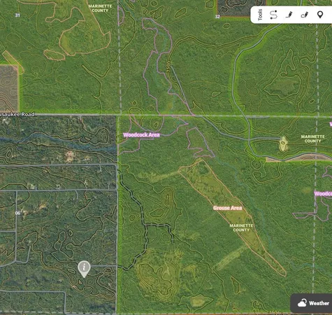 $35,000 | Roush Road, Wausaukee, WI 54177
