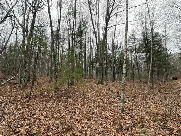 $35,000 | Roush Road, Wausaukee, WI 54177