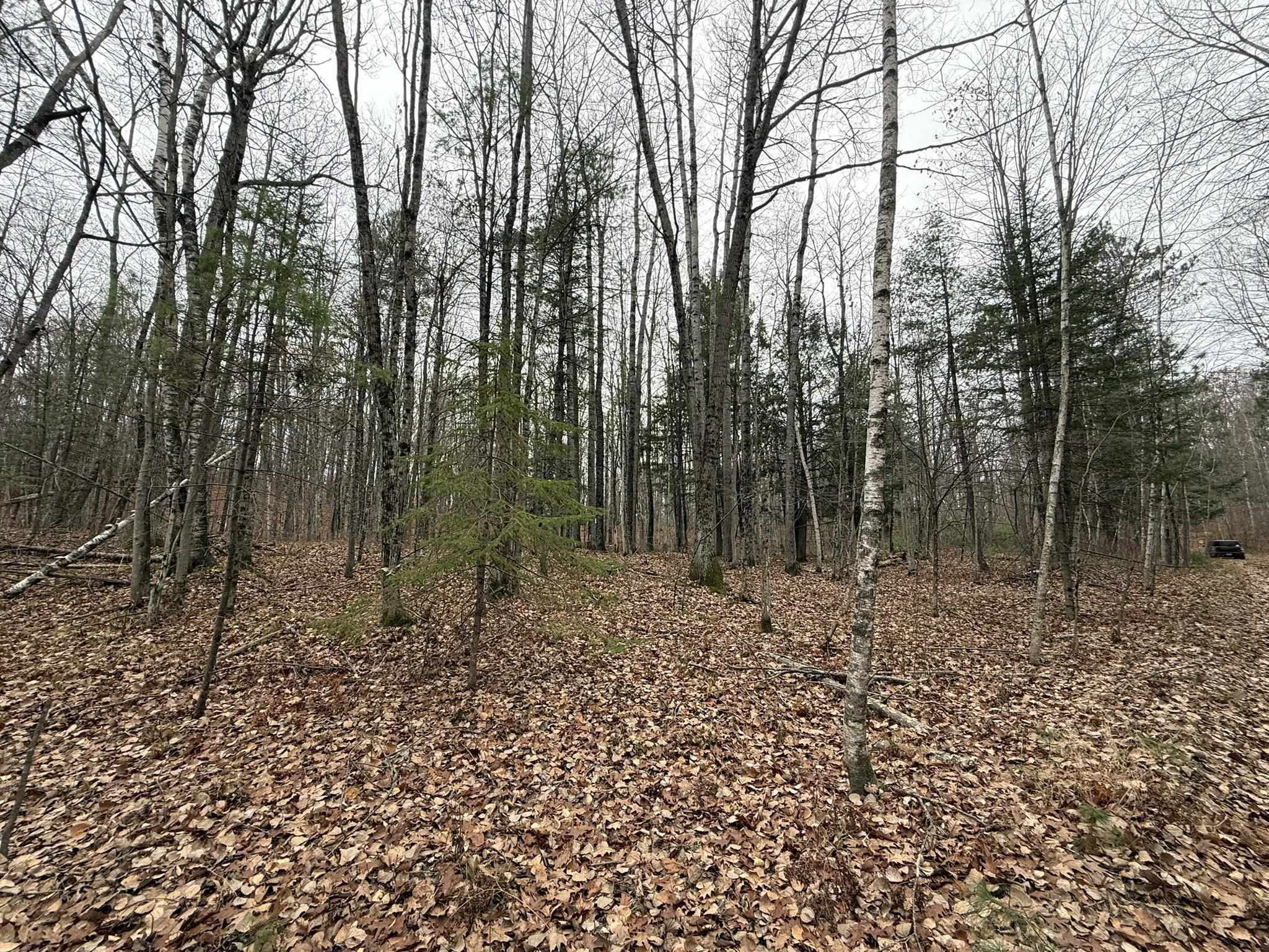 Roush Road Wausaukee, WI 54177 - Photo 2 of 13