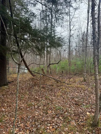 $35,000 | Roush Road, Wausaukee, WI 54177