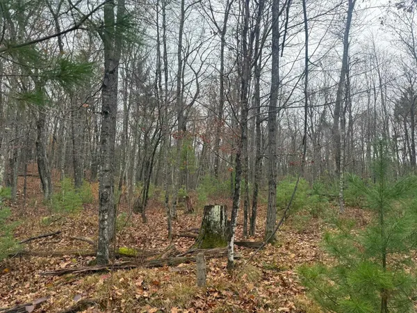$35,000 | Roush Road, Wausaukee, WI 54177