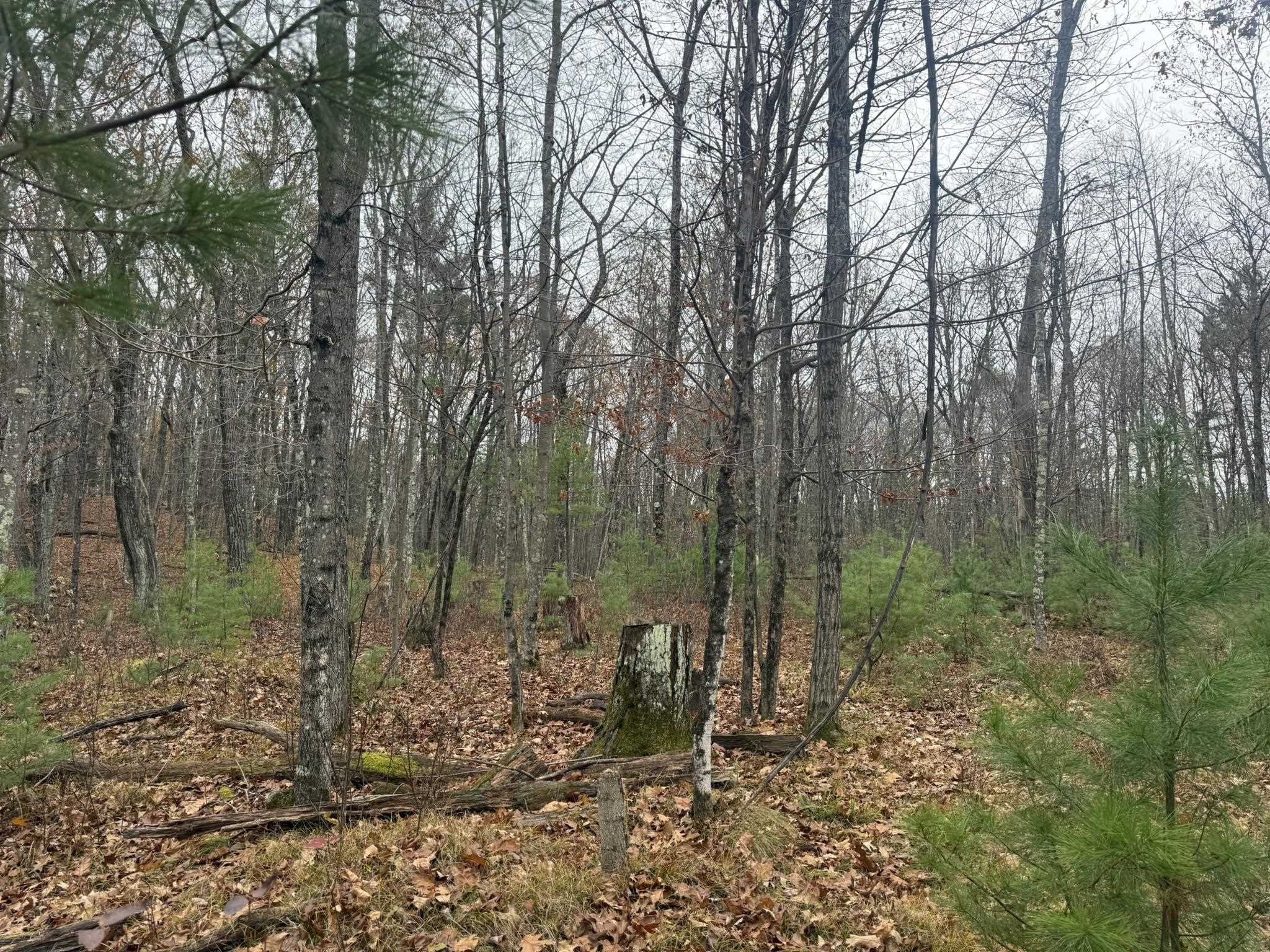 Roush Road Wausaukee, WI 54177 - Photo 5 of 13