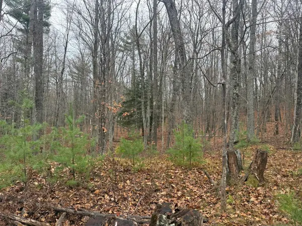 $35,000 | Roush Road, Wausaukee, WI 54177