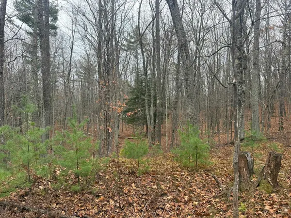 $35,000 | Roush Road, Wausaukee, WI 54177