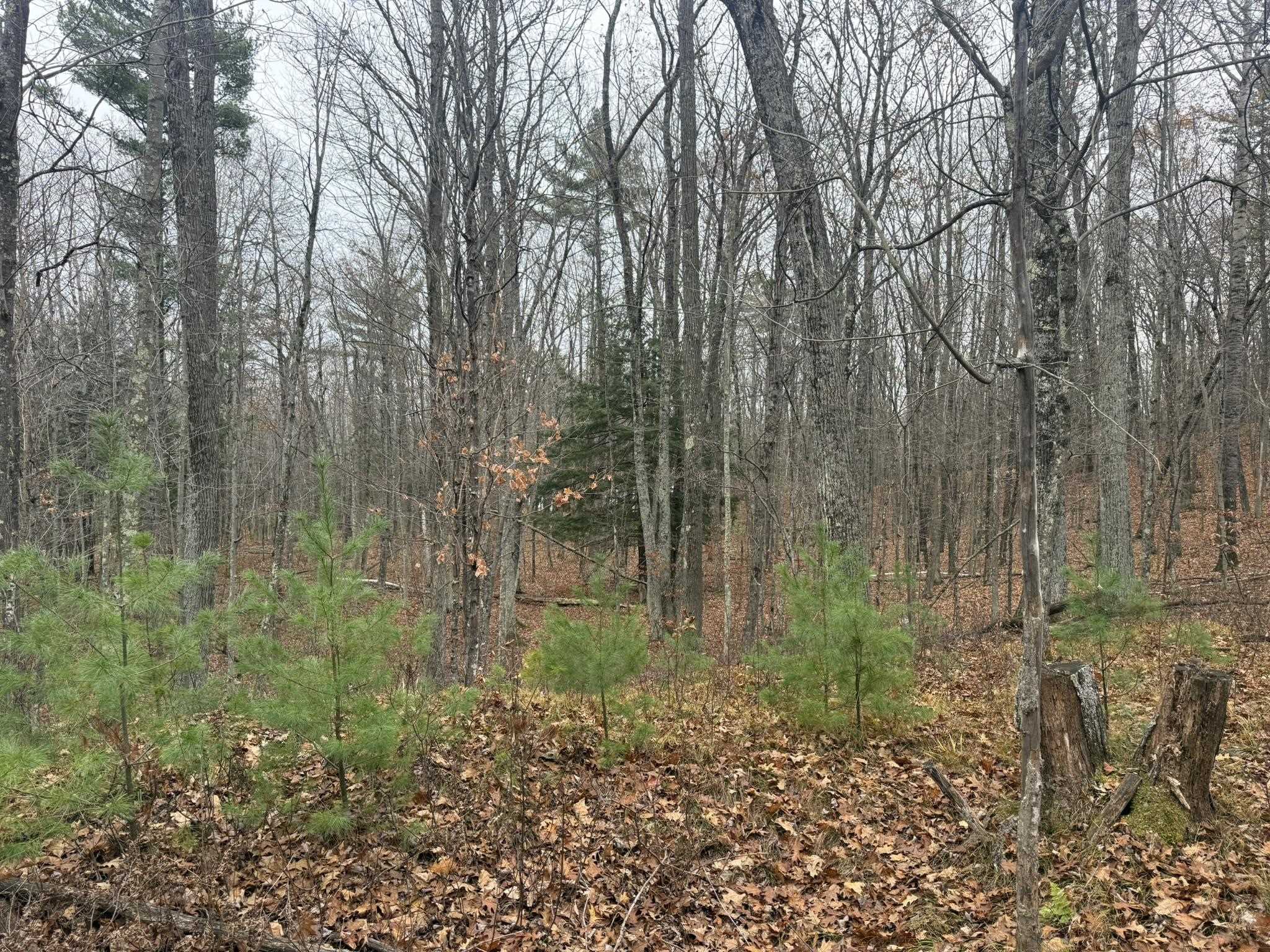 Roush Road Wausaukee, WI 54177 - Photo 8 of 13