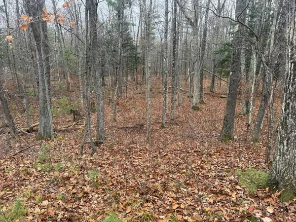 $35,000 | Roush Road, Wausaukee, WI 54177