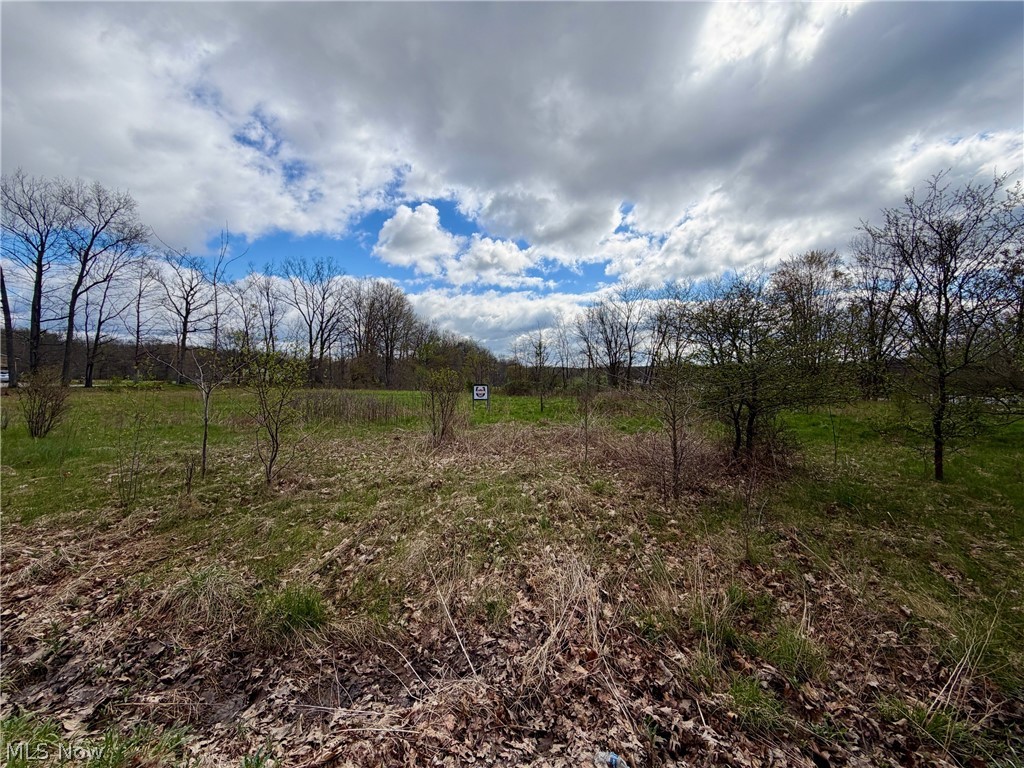9200 Horn Road Windham, OH 44288 - Photo 20 of 41