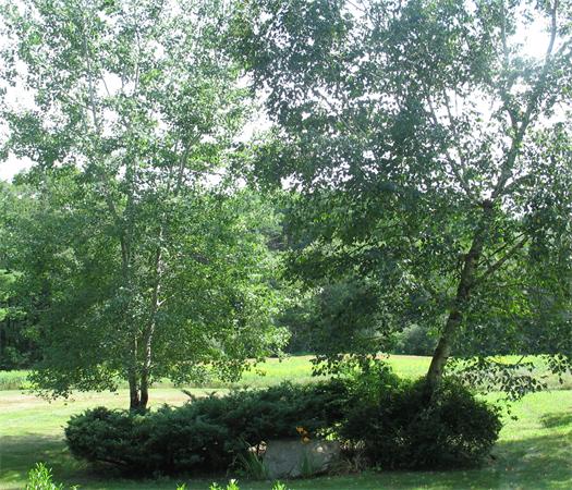 59 A Lincoln Road Wayland, MA 01778 - Photo 29 of 30