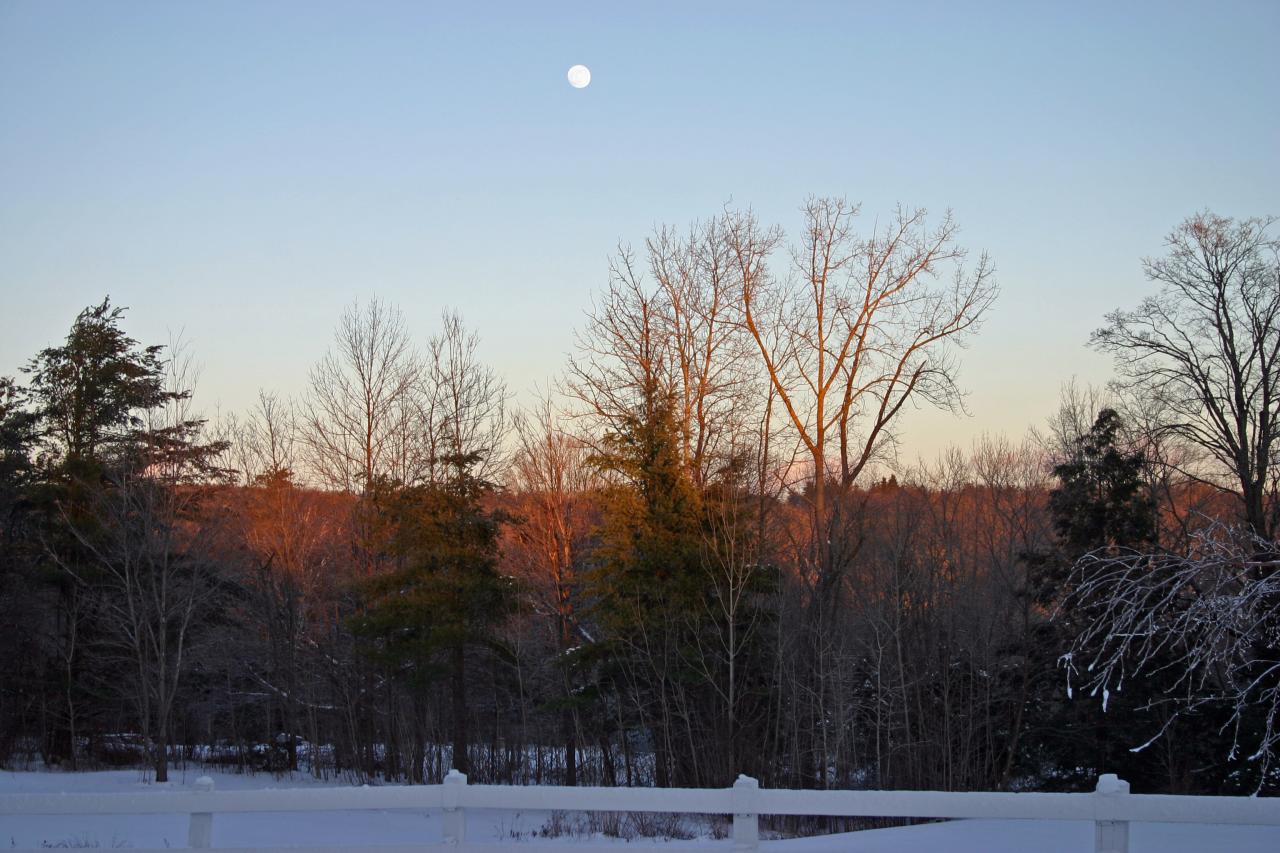 124 County Road Huntington, MA 01050 - Photo 17 of 17 a view of mountain view with lots of trees