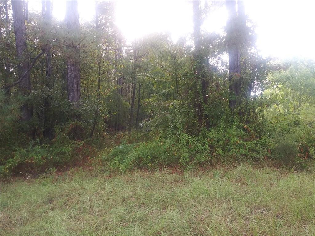 0 Cw Miller Road Deville, LA 71328 - Photo 1 of 2