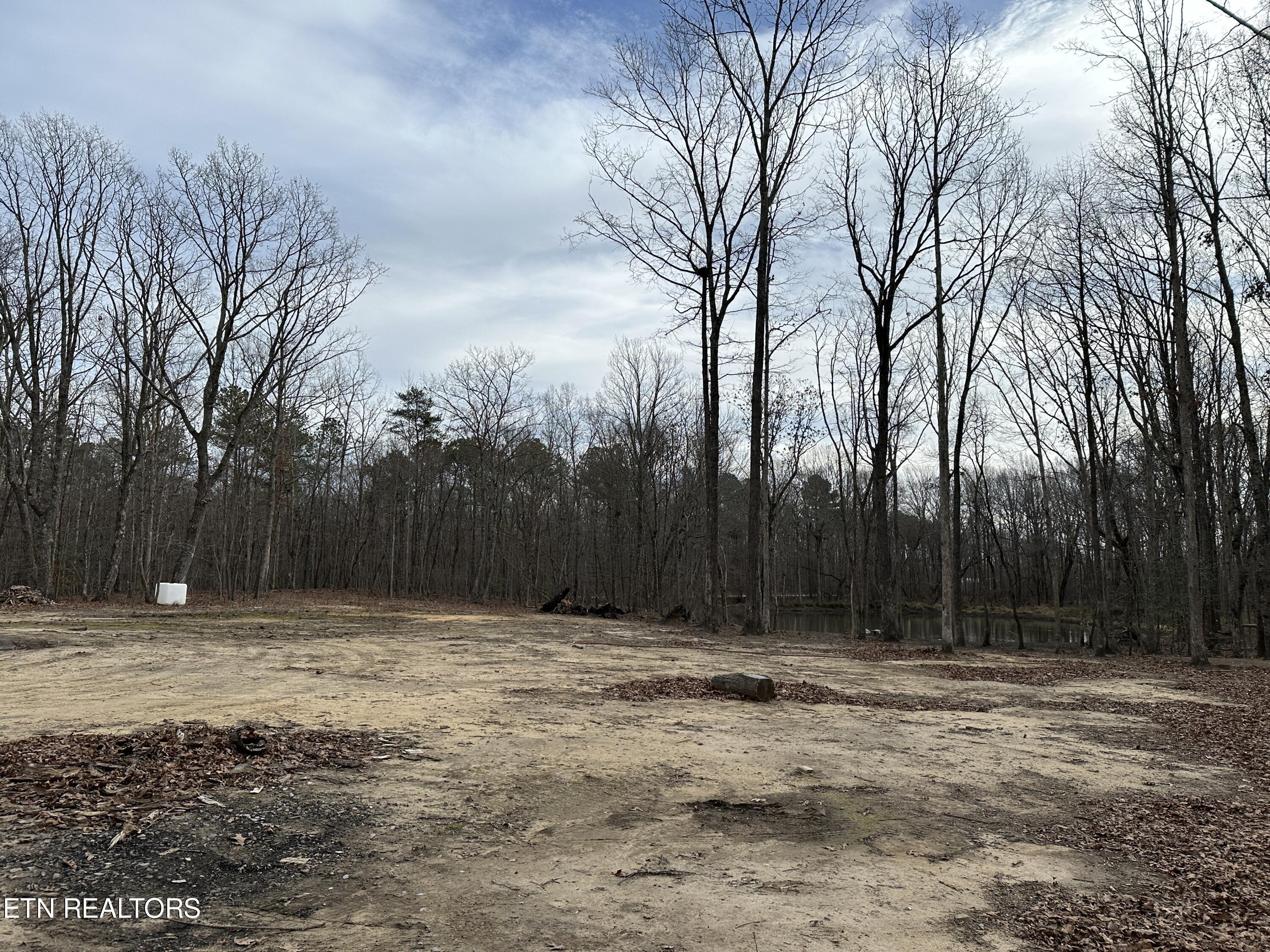 47 West Bluff Road Pikeville, TN 37367 - Photo 6 of 15 IMG_3758