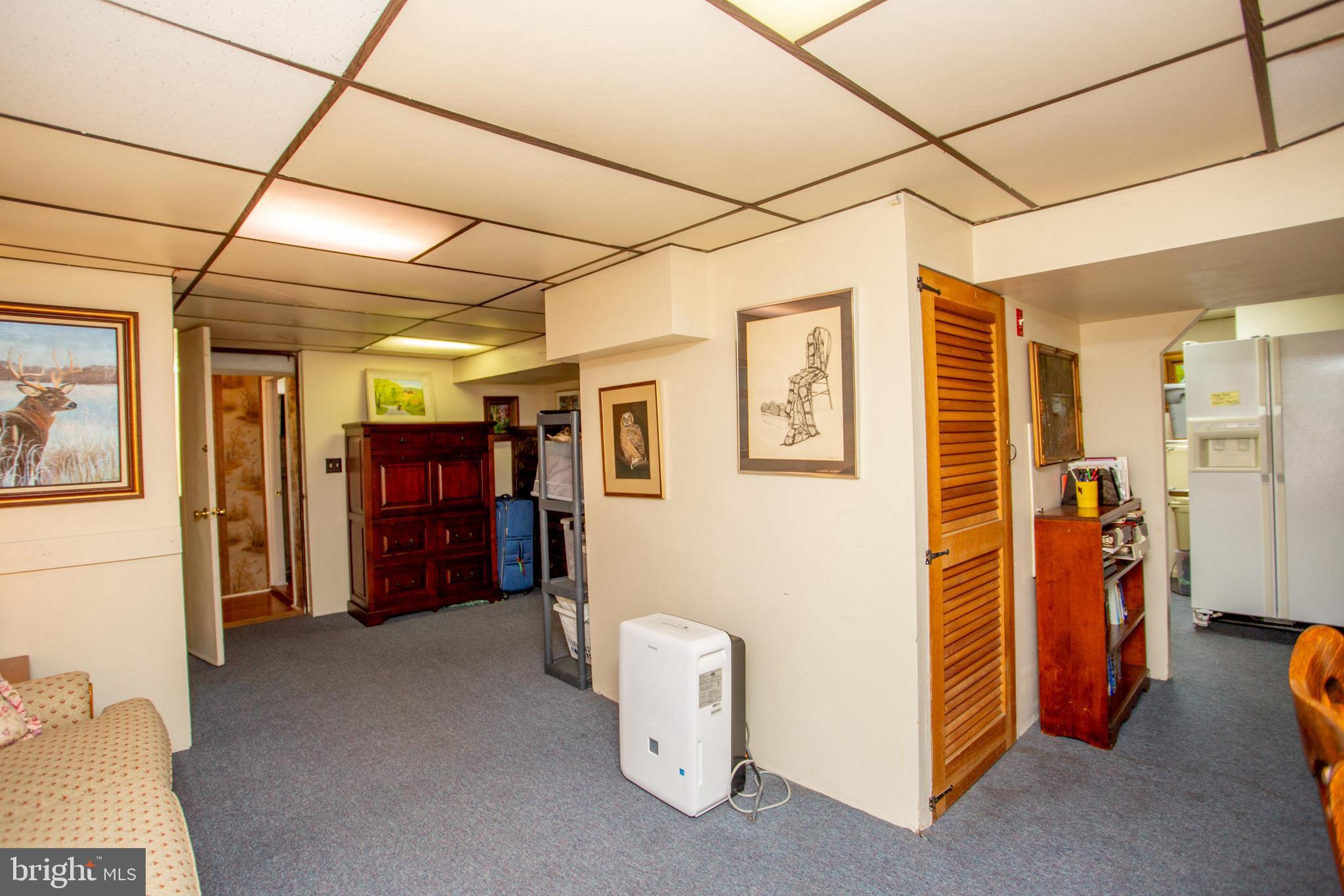 6682 Upper York Road New Hope, PA 18938 - Photo 35 of 56 Finished basement