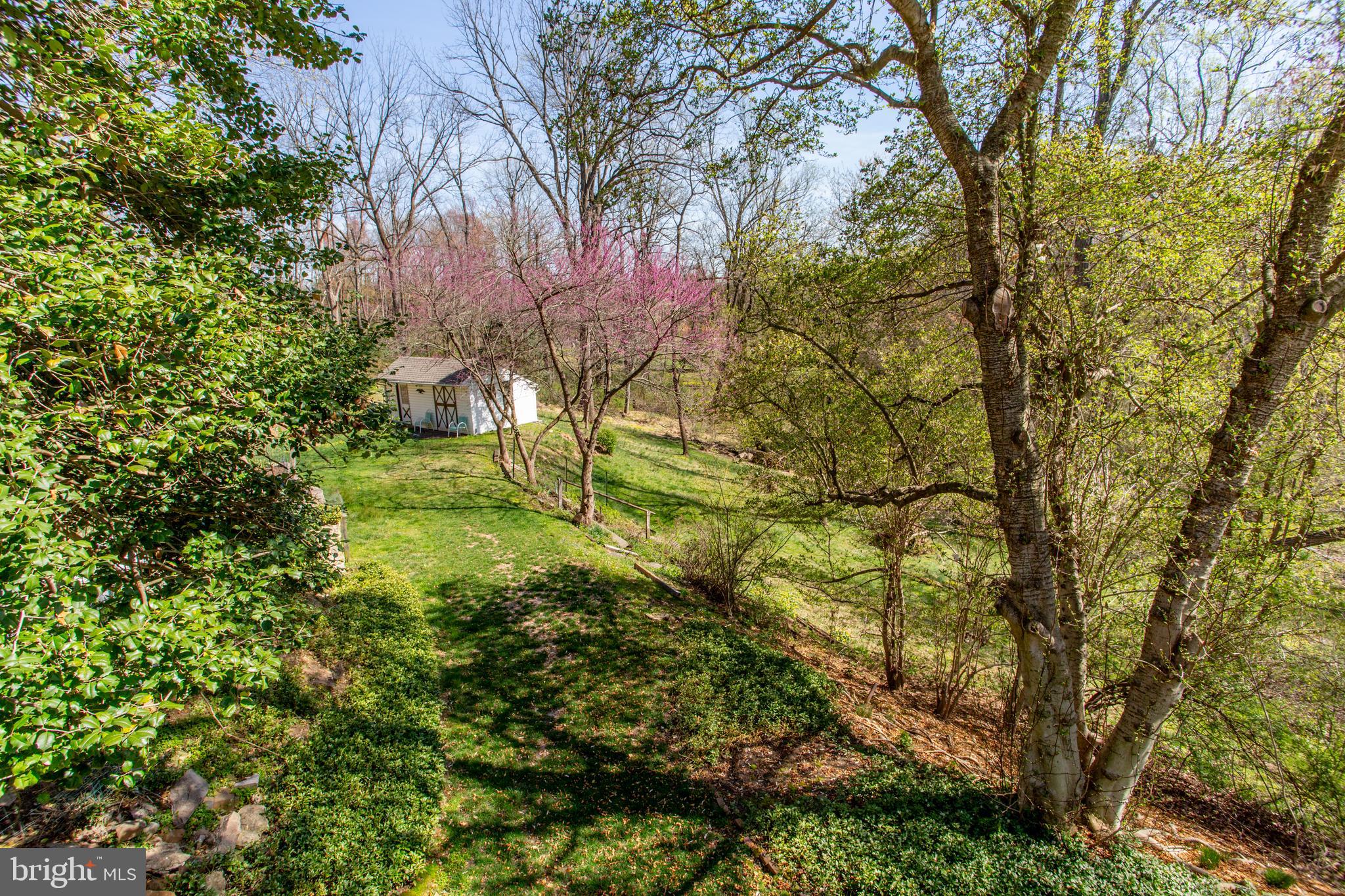 6682 Upper York Road New Hope, PA 18938 - Photo 46 of 56 Backyard