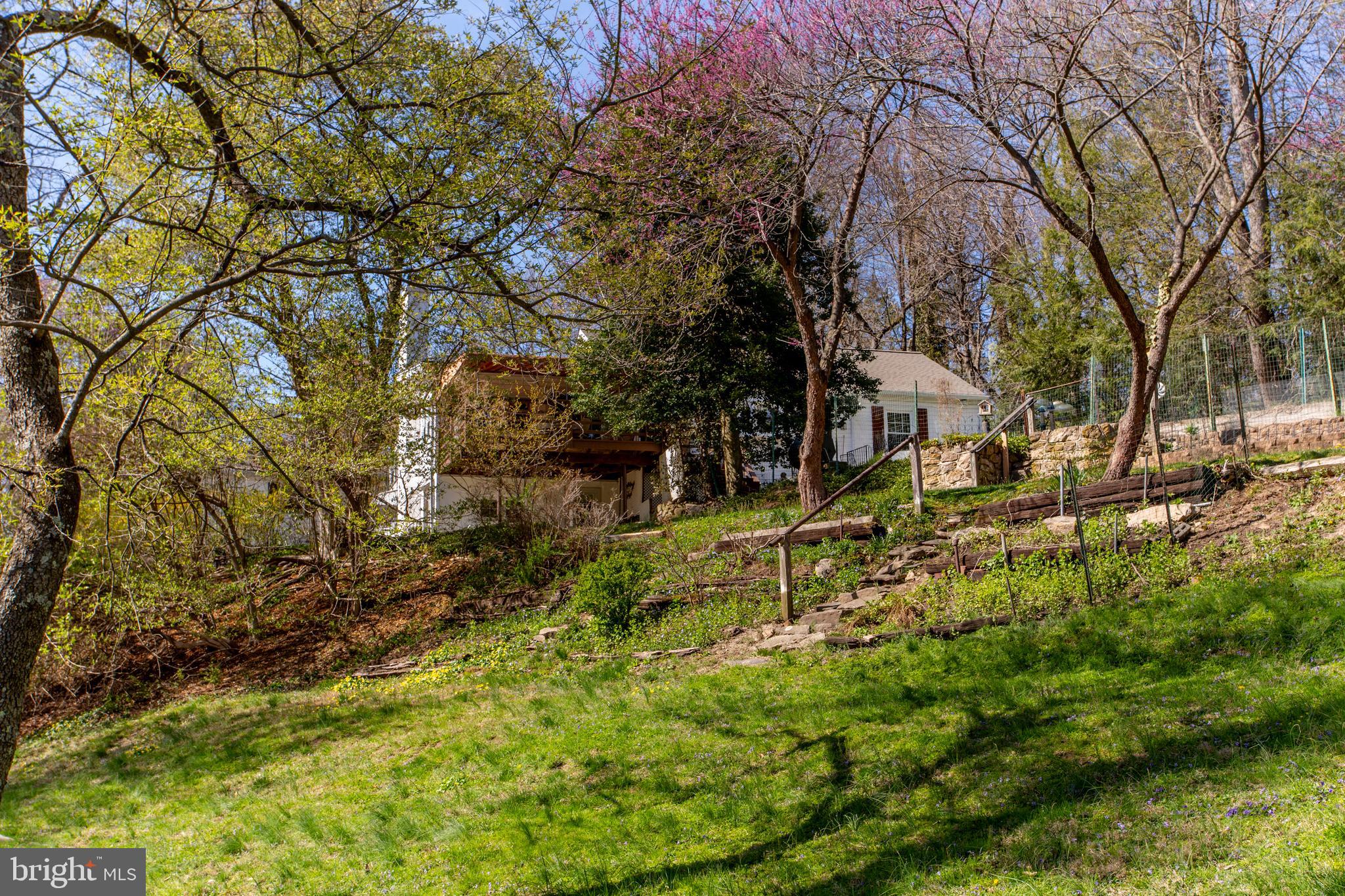 6682 Upper York Road New Hope, PA 18938 - Photo 47 of 56 Backyard